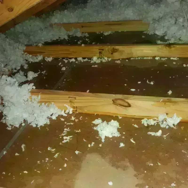 Attic Water Damage in Chelan County, WA