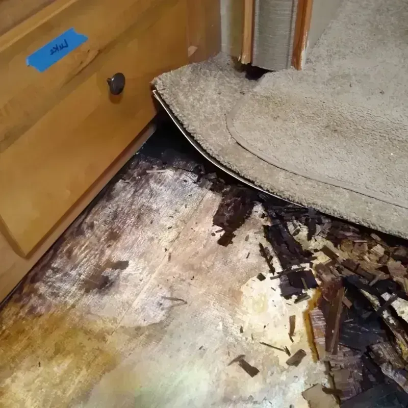 Wood Floor Water Damage in Chelan County, WA